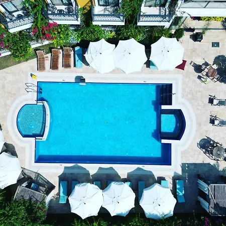 Hotel Michelangelo Boutique 2*