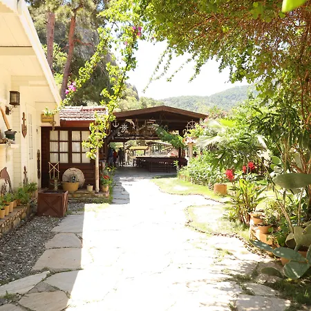 Hotel Michelangelo Boutique 2*