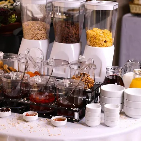 Michelangelo Boutique 酒店