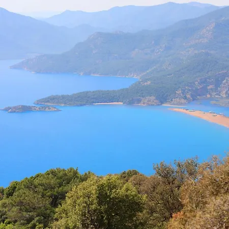 Michelangelo Boutique 达利安